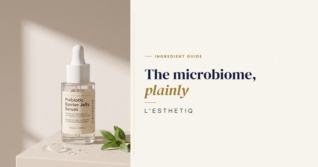 Prebiotics for Skin: The Microbiome, Explained Plainly