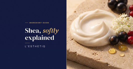 Shea Butter: What It Does in Creams and Hair Masks